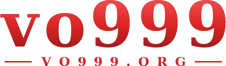vo999 logo